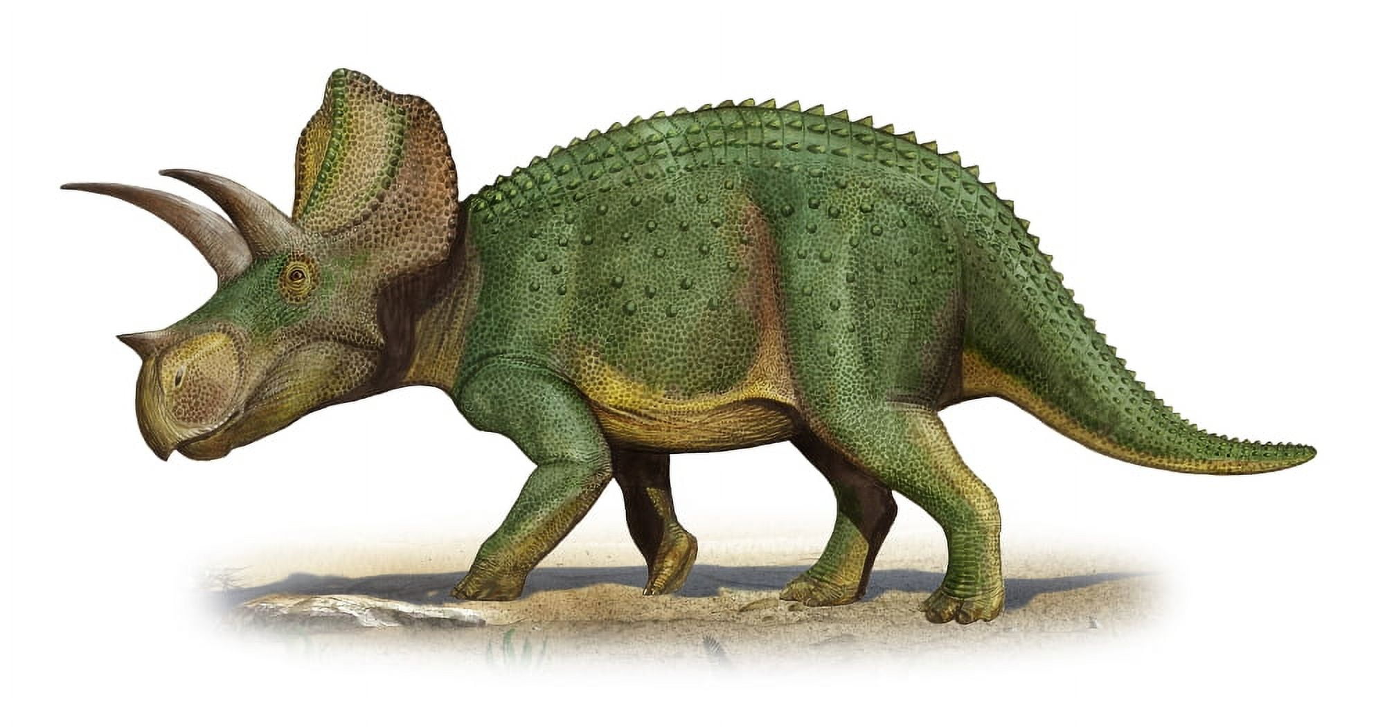 Ojoceratops fowleri a prehistoric era dinosaur Canvas Art - Sergey KrasovskiyStocktrek Images (20 x 11)