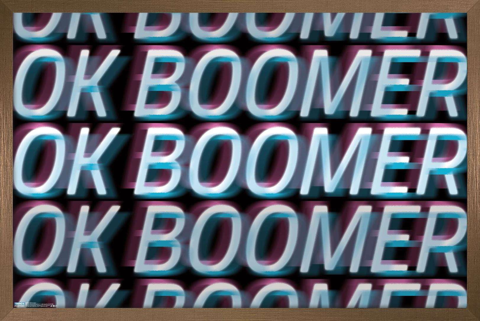 Ok Boomer Wall Poster, 14.725" x 22.375", Framed