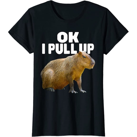 Ok I Pull Up Capybara Funny Capybara Lover Dank Meme T-Shirt