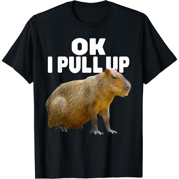 Ok I Pull Up Capybara Funny Capybara Lover Dank Meme T-Shirt