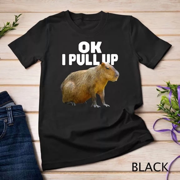 Ok I Pull Up Capybara Funny Capybara Lover Dank Meme Unisex S-5Xl T-Shirt