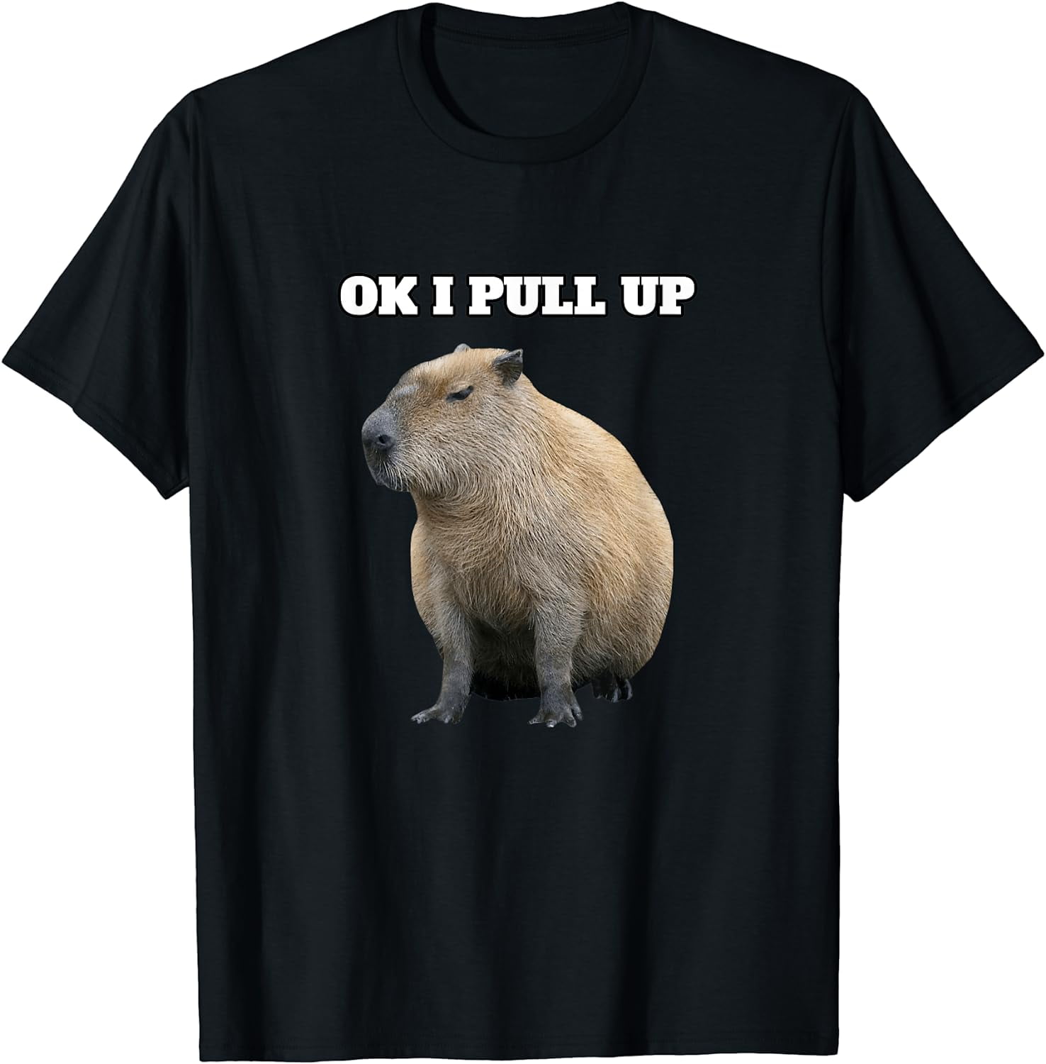 Ok I Pull Up Capybara TShirt