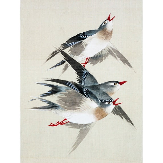 Okamoto Birds Japanese Extra Large XL Wall Art Poster Print