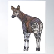 Okapi Poster Wall Art, Modern Wall Decor For Living Room Bedroom, 8x12 UNFRAMED