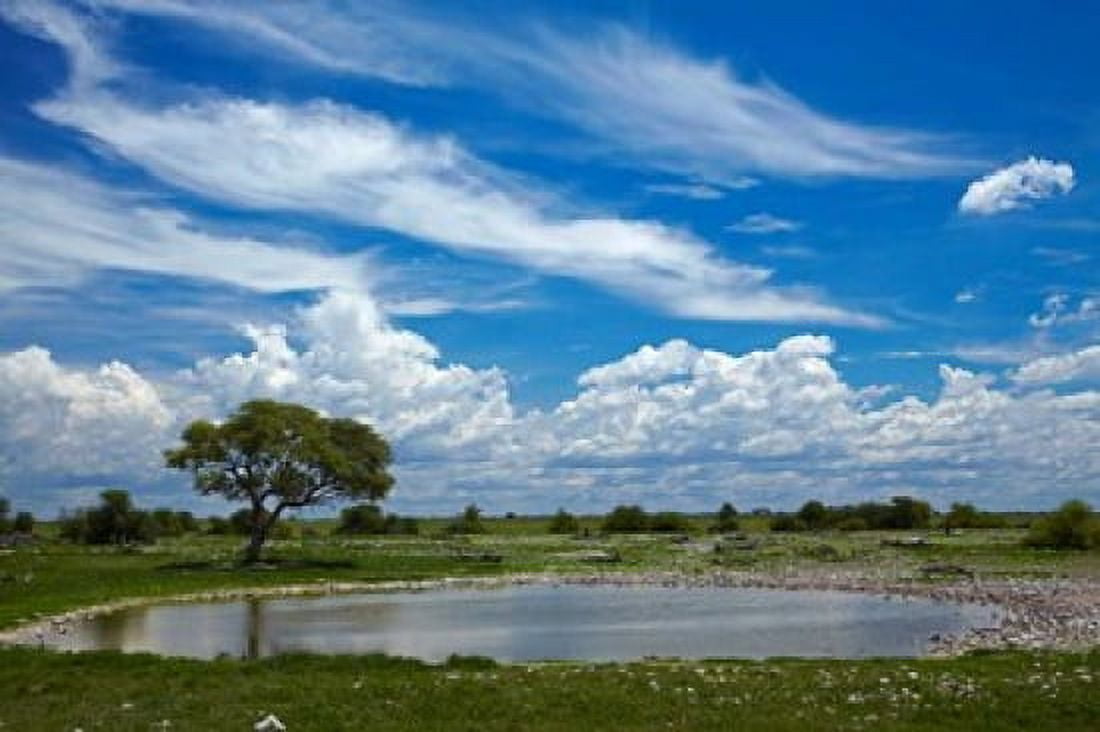 Okaukuejo waterhole Etosha National Park Namibia Canvas Art - David Wall DanitaDelimont (38 x 25)