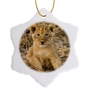 3drose, Okavango Delta, Botswana. Close-up of Lion Sitting., 3 inch Snowflake Porcelain Ornament