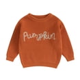 thumbnail image 1 of Okbabeha Toddler Baby Girl Boy Knit Sweater Pumpkin Long Sleeve Pullover Crewneck Sweatshirt Fall Halloween Baby Clothes, 1 of 7
