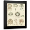 thumbnail image 1 of Oken 20x24 Black Modern Framed Museum Art Print Titled - Jellyfish Display, 1 of 5