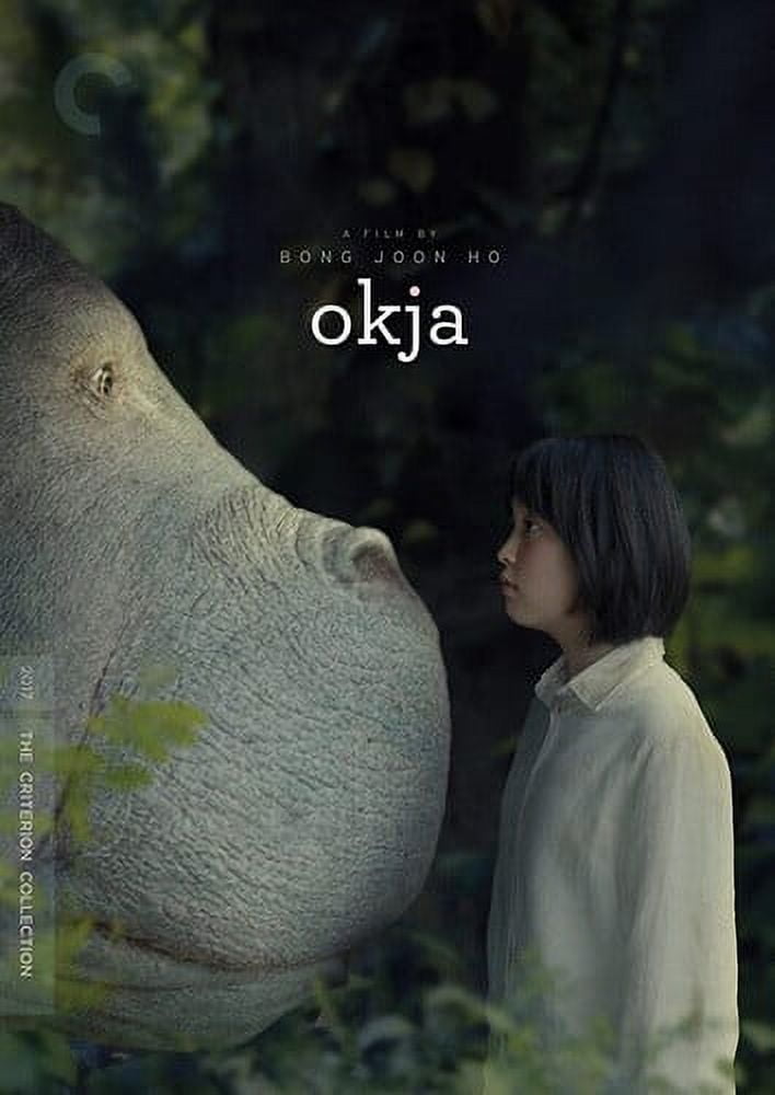 Amazon.co.jp: 栄華を極めた名城 [DVD] : DVD