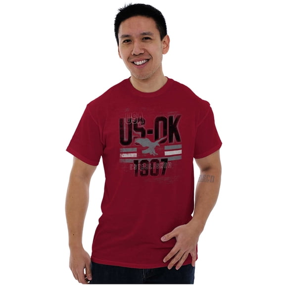 Oklahoma OK Eagle Vintage Distressed Men's Graphic T Shirt Tees Brisco Brands L