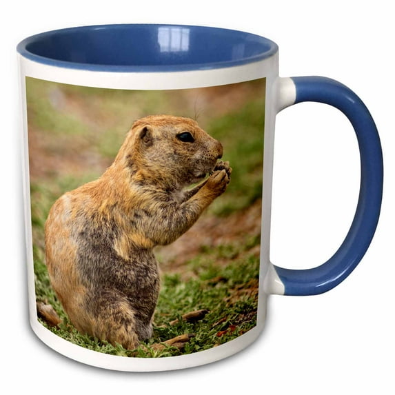 3drose, Oklahoma. Prairie Dog - Us37 Mde0015 - Michael Defreitas, 15oz Two-tone Blue Mug