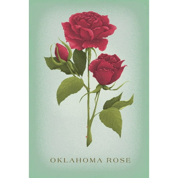Oklahoma, Vintage Flora, State Series, Oklahoma Rose (12x18 Wall Art Poster, Room Decor)