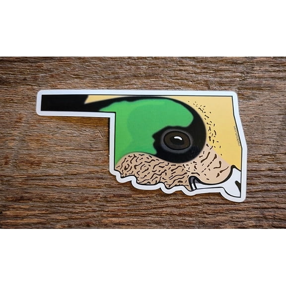 Oklahoma Widgeon Duck Skin Sticker Decal