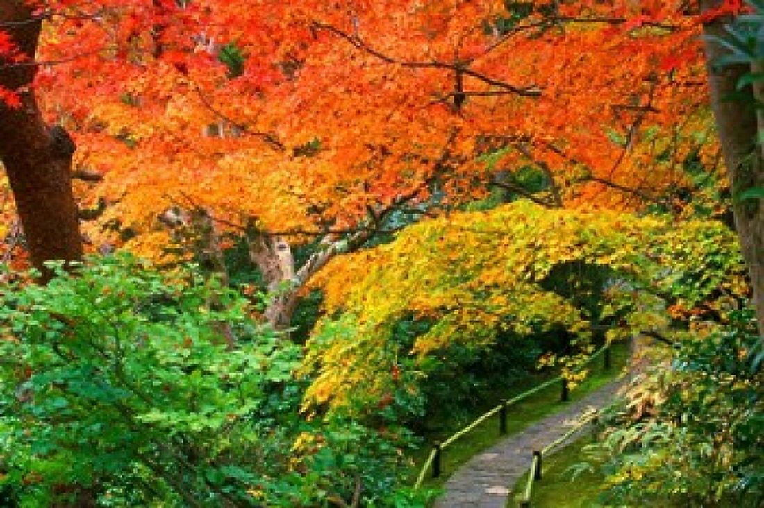 Okochi Sanso Kyoto Japan Canvas Art - Rob Tilley DanitaDelimont (22 x 15)