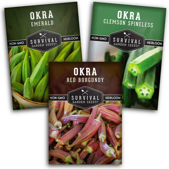 3 Okra Seeds Collection - Emerald, Red Burgundy, Clemson Spineless - Annual Full Sun Vegetable