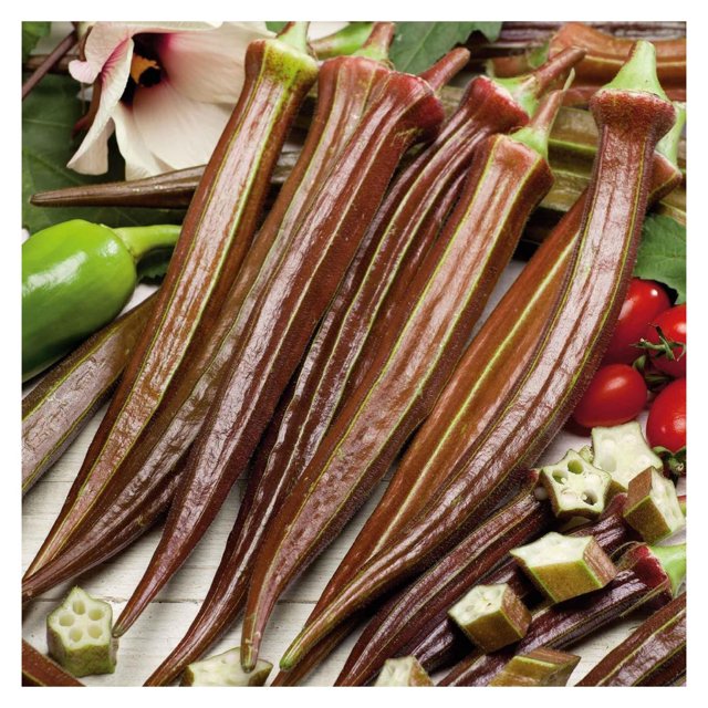 Okra Seeds Red Burgundy NonGMO Seeds for Planting, 1 Pound Low