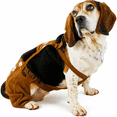 thumbnail image 1 of Oktoberfest German Dog Lederhosen Outfit Costume LARGE by EINSZWEIDOG, 1 of 13