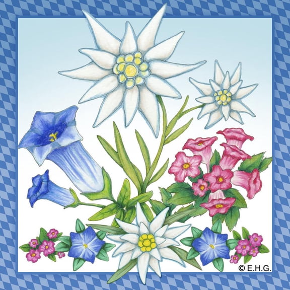 Oktoberfest Haus Multicolor Ceramic Edelweiss Flower Design Magnetic Tile for Home Decor