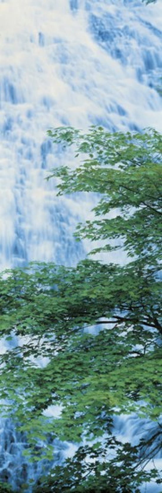 Oku-Nikko Tochigi Japan Canvas Art - Panoramic Images (18 x 6)