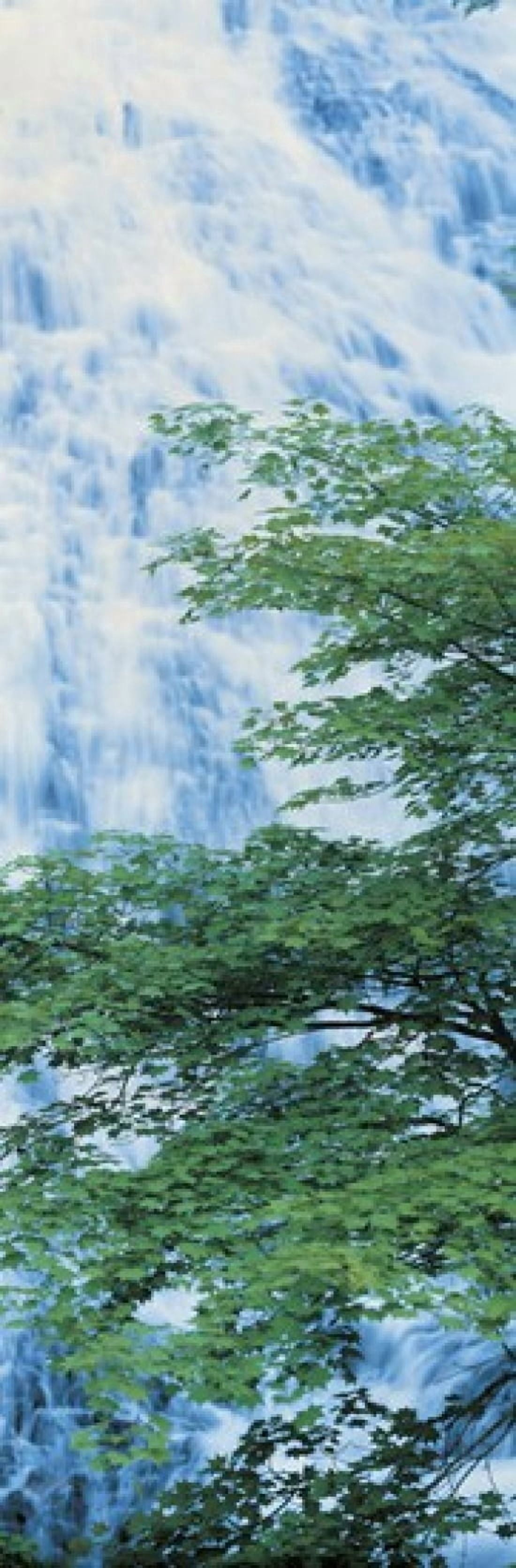 Oku-Nikko Tochigi Japan Canvas Art - Panoramic Images (36 x 12)