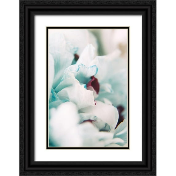 Okula, Carina 11x14 Black Ornate Wood Framed with Double Matting Museum Art Print Titled - Paris Petals 2