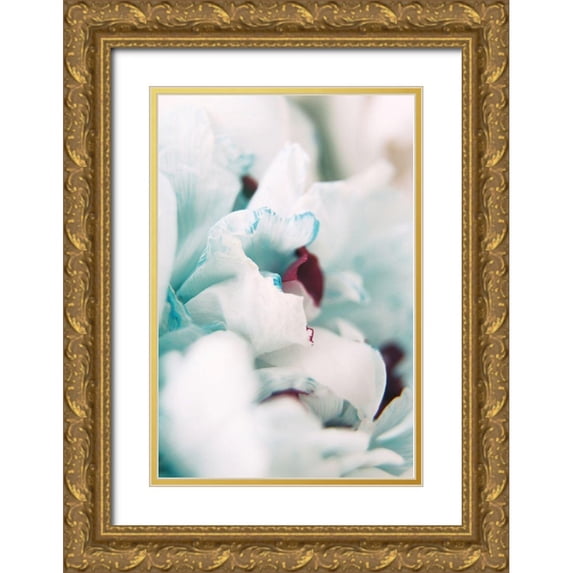 Okula, Carina 11x14 Gold Ornate Wood Framed with Double Matting Museum Art Print Titled - Paris Petals 2