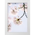 thumbnail image 1 of Okula, Carina 11x14 White Modern Wood Framed Museum Art Print Titled - Paris Petals, 1 of 4