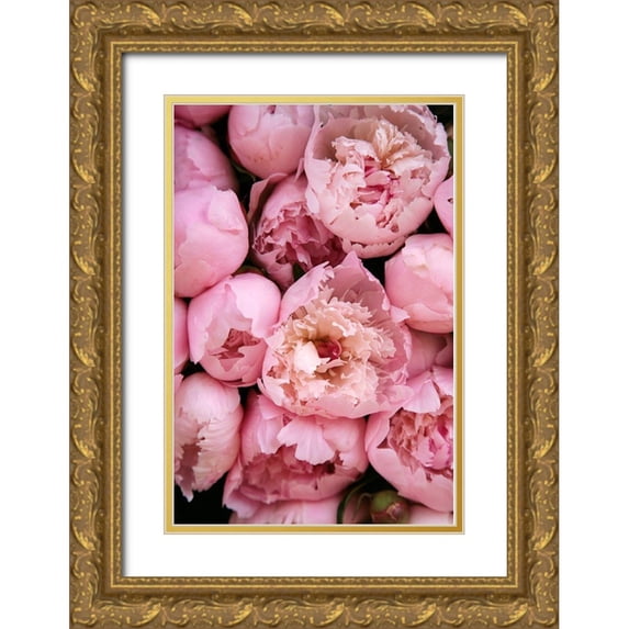 Okula, Carina 13x18 Gold Ornate Wood Framed with Double Matting Museum Art Print Titled - Peony 4