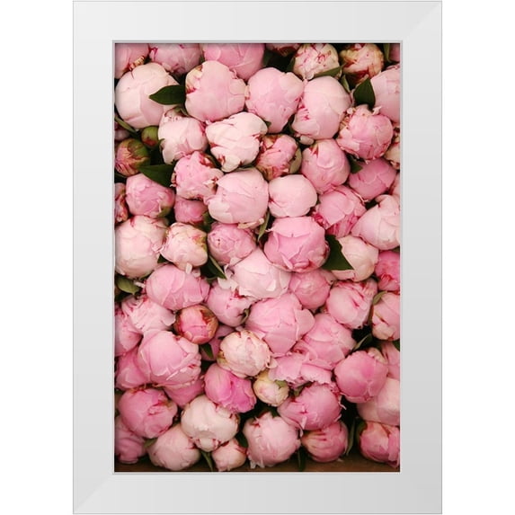 Okula, Carina 13x18 White Modern Wood Framed Museum Art Print Titled - Peony 2