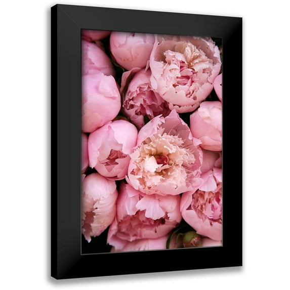 Okula, Carina 17x24 Black Modern Framed Museum Art Print Titled - Peony 4