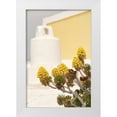 thumbnail image 1 of Okula, Carina 23x32 White Modern Wood Framed Museum Art Print Titled - Greek Details, 1 of 4