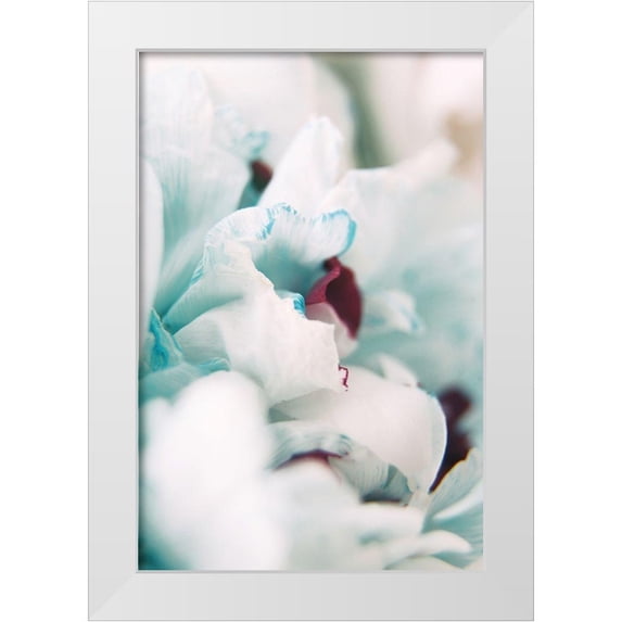 Okula, Carina 23x32 White Modern Wood Framed Museum Art Print Titled - Paris Petals 2