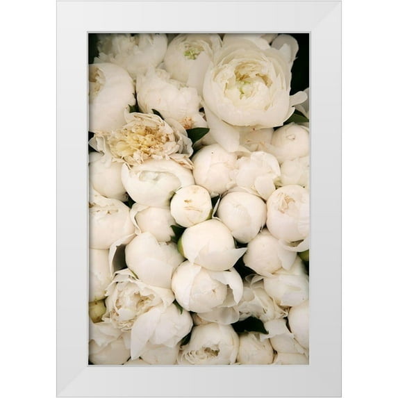 Okula, Carina 23x32 White Modern Wood Framed Museum Art Print Titled - Peony 1