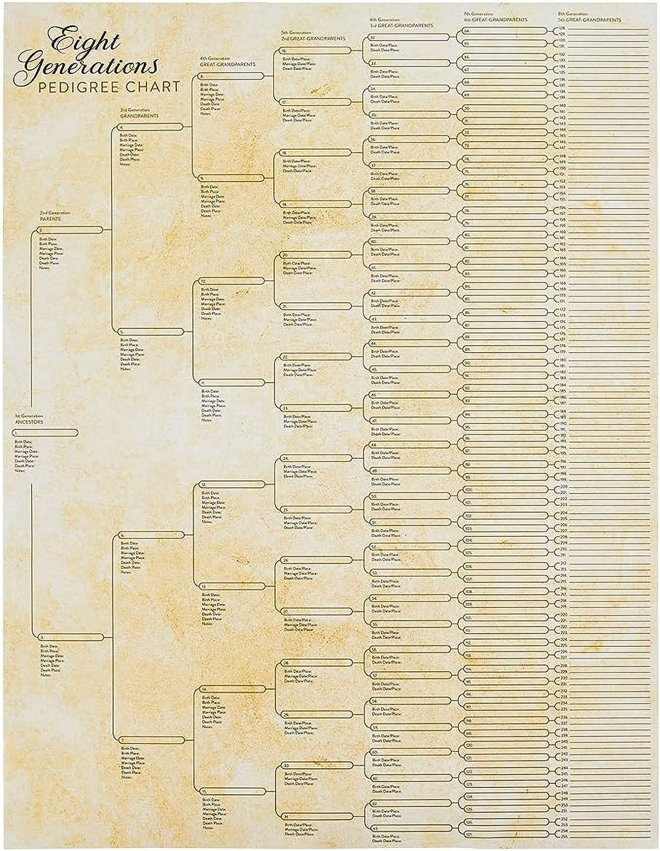 Okuna Outpost 15 Pack Family Tree Charts to Fill In - Blank 8 Generation  Genealogy Poster for Family History, Lineage, Reunions, Large Pedigree  Ancestry Organiz…