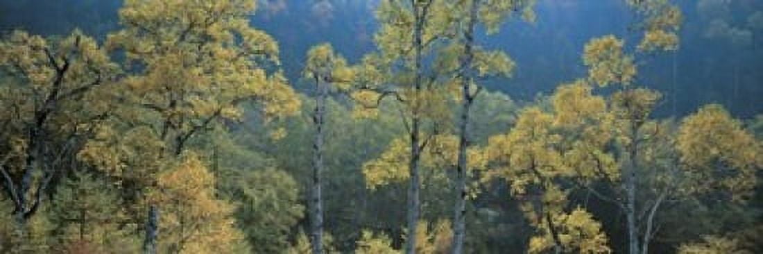 Okushiga Kogen Nagano Japan Canvas Art - Panoramic Images (18 x 6)