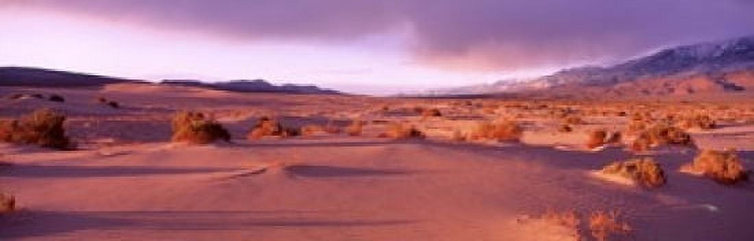Olancha Sand Dunes Olancha California USA Canvas Art - Panoramic Images (18 x 6)