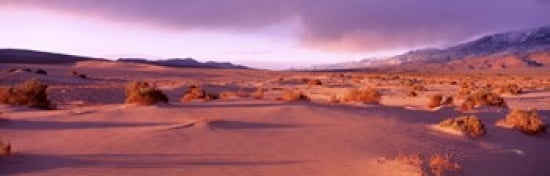 Olancha Sand Dunes Olancha California USA Canvas Art - Panoramic Images (36 x 12)