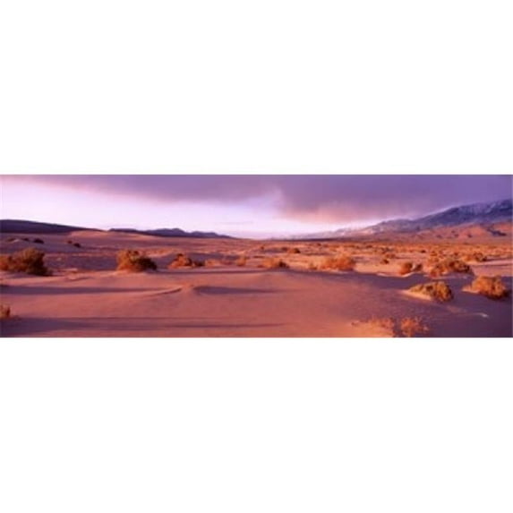 Olancha Sand Dunes Olancha California USA Poster Print by - 36 x 12