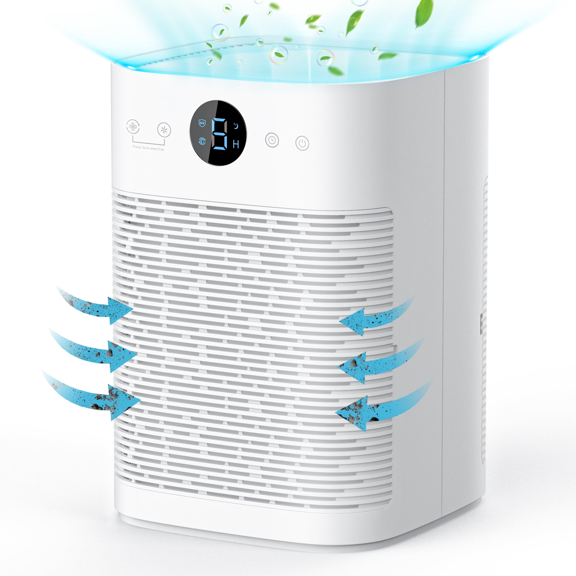 Air purifier 2024 smells musty