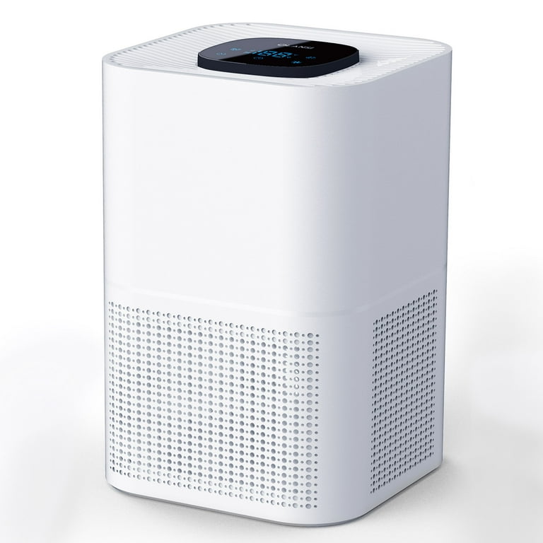 Large room store air purifier reviews