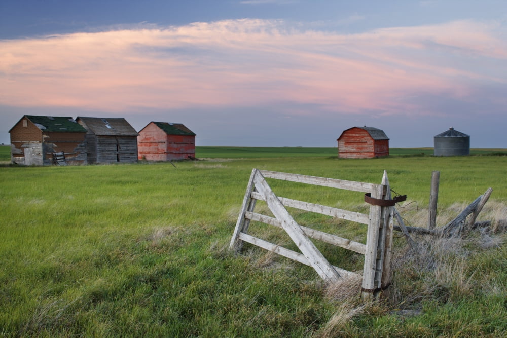 Old Abandoned Farm Near Leader Saskatchewan Canvas Art - Darwin Wiggett Design Pics (17 x 11)
