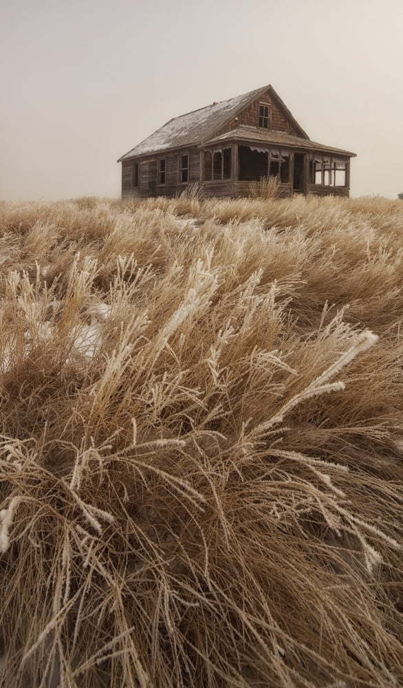 Old Abandoned Homestead In The Prairies Saskatchewan Canada Canvas Art - Robert Postma Design Pics (11 x 20)