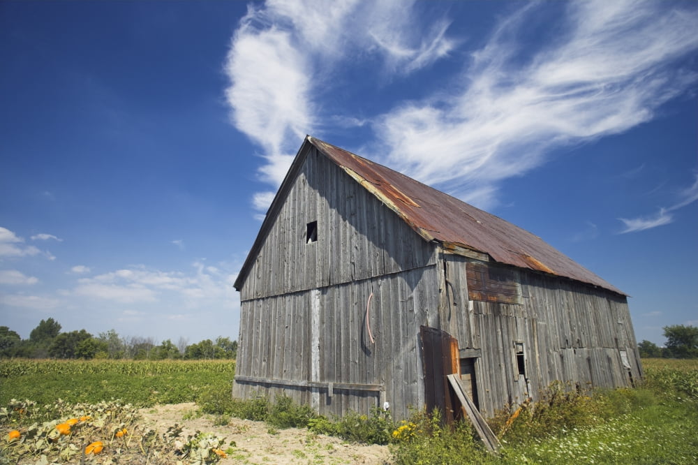 Old Barn Haldimand County Niagara Peninsula Ontario Canada Canvas Art - Darwin Wiggett Design Pics (17 x 11)