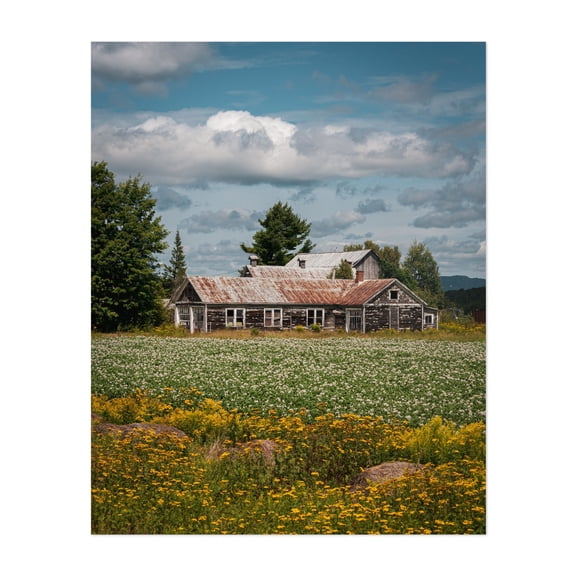 Old Barn - Paul Smiths New York Photography Rustic Farmhouse Rural Barn Landscape Flowers Vintage Unframed Wall Art Print 36 x 48 inches