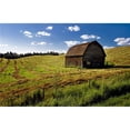 thumbnail image 1 of Old Barn in a Field Poster Print by Steve Nagy - 18 x 11, 1 of 1