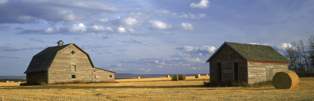 Old Barns Peace-River Area Near Dawson Creek British Columbia Canada Canvas Art - David Nunuk Design Pics (28 x 9)