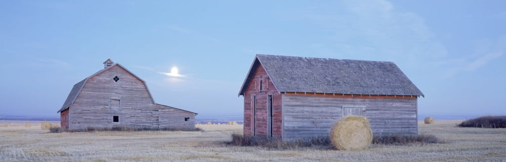 Old Barns Peace River Area Near Dawson Creek British Columbia Canada Canvas Art - David Nunuk Design Pics (35 x 11)