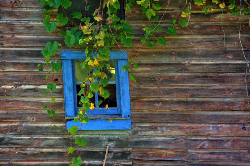 Old Blue Window Canvas Art - Doug Ohman (12 x 18)