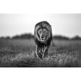 thumbnail image 1 of Old Boy Poster Print - Xavier Ortega, 1 of 3