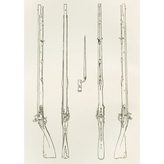 Old Brown Bess. Regulation Muskets And Socket Bayonet. From The British Army